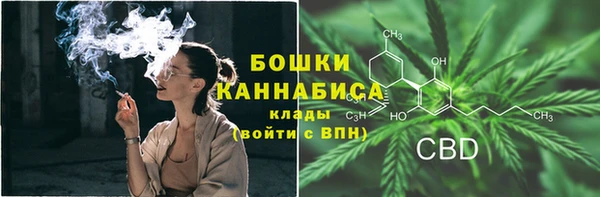 ГАЛЛЮЦИНОГЕННЫЕ ГРИБЫ Верхний Тагил