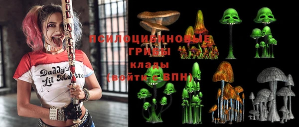 прущая мука Верея