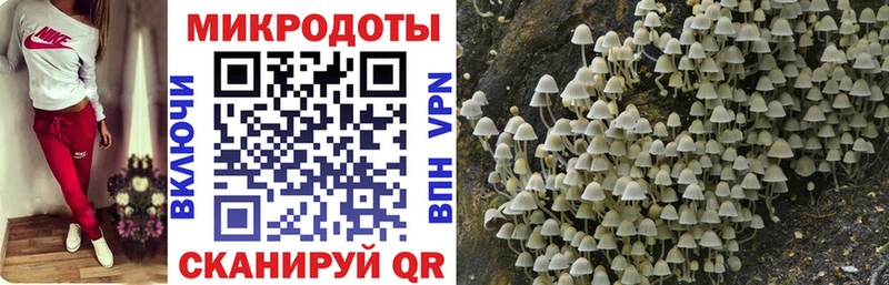 Галлюциногенные грибы мухоморы  ссылка на мегу как войти  Ивантеевка 