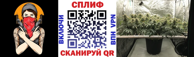 Марихуана конопля Ивантеевка